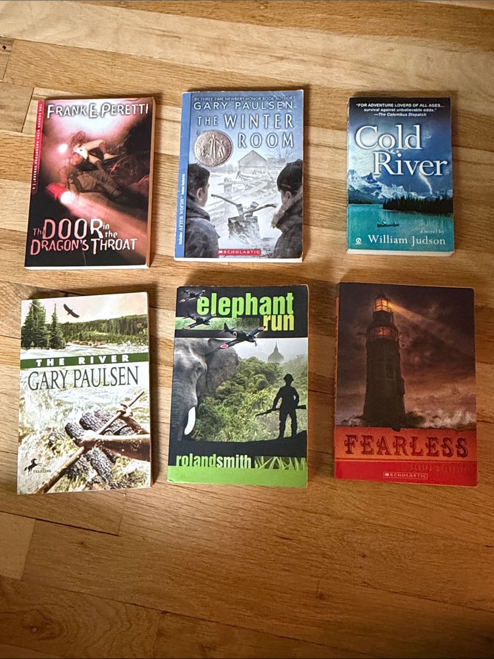 Set of 6 Adventure Books for Young Readers 🐉 🦅 🐘 ✈️ 🏔️